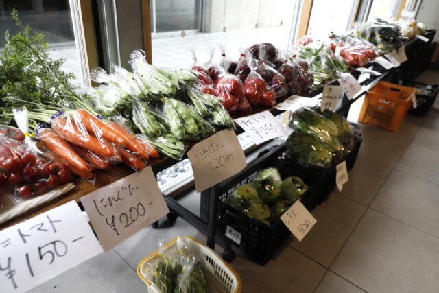 春日部市役所で野菜販売会　定期開催で地元産アピール