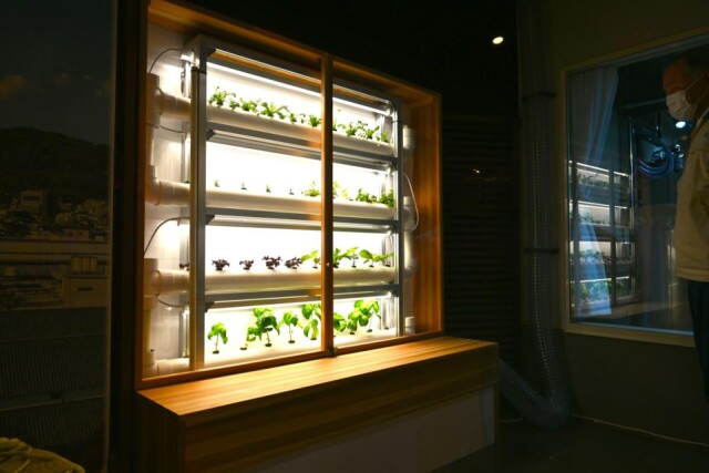 白鶴酒造が「発酵由来CO2」活用した植物栽培プロジェクト始動