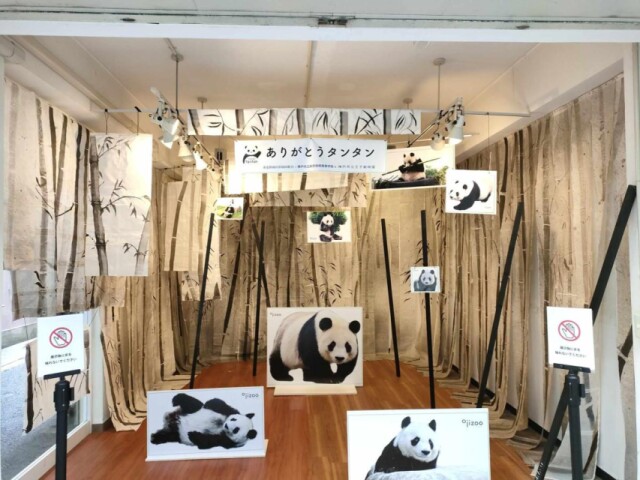 水道筋商店街でジャイアントパンダ「タンタン」追悼展　地元高校生の作品展示