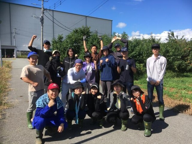 甲州ブドウでブランデー製造　山梨大が20年ぶりにプロジェクト