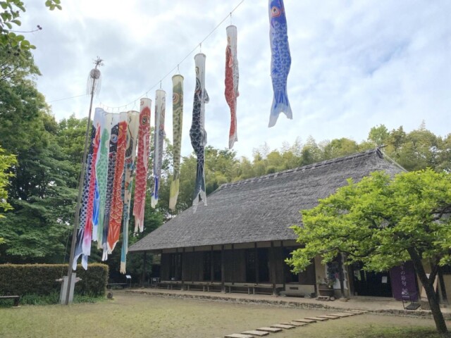 都筑民家園でこいのぼりと五月人形の展示　着物体験などのワークショップも