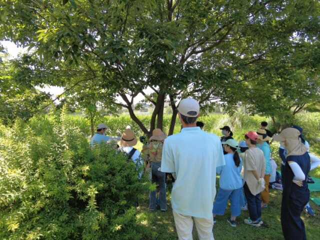 新横浜公園で親子自然観察会　初回にはボート乗船体験も