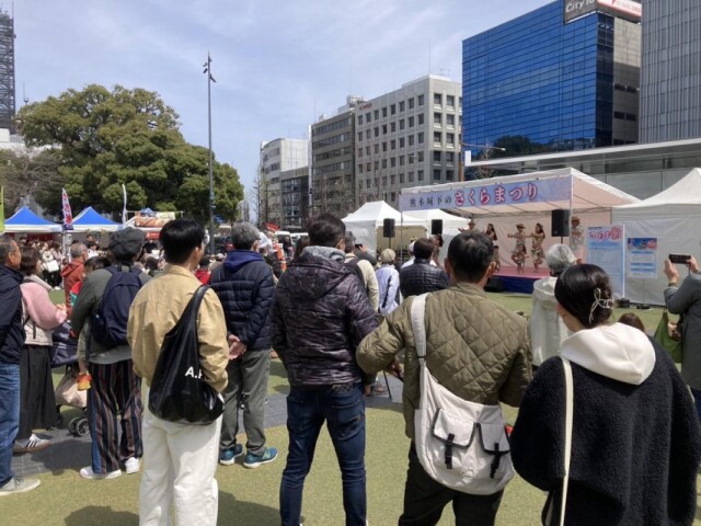 熊本・花畑広場で「さくらまつり」　ステージイベントや食ブースも