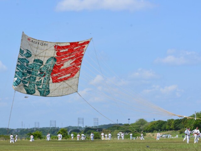 日本一の大凧「喜翔」、相模原の空に舞う