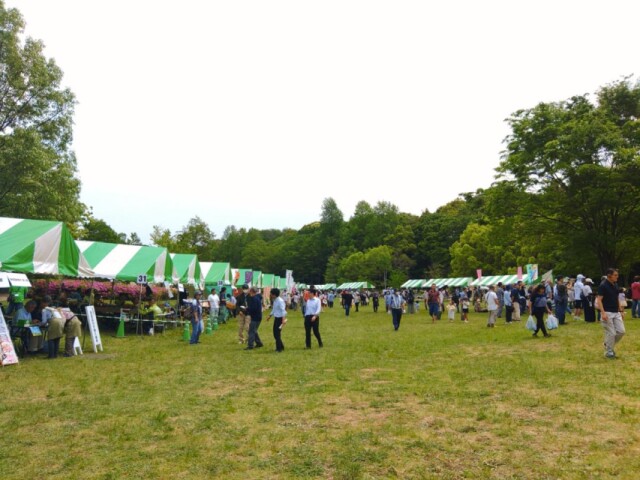 松戸・21世紀の森と広場で「緑と花のフェス」　緑の恩恵に感謝を