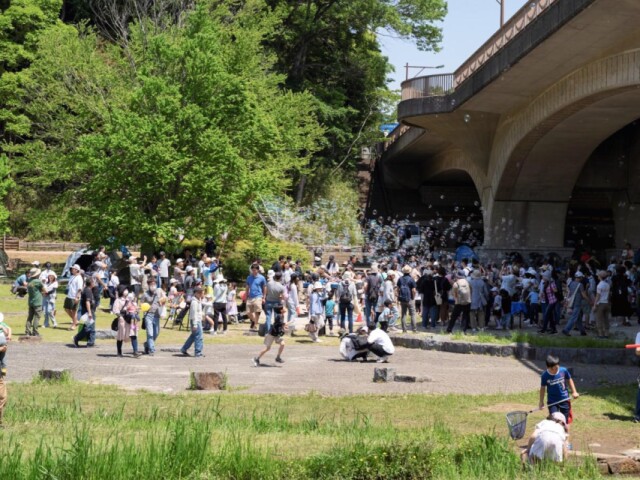 松戸・21世紀の森と広場で子どもの日イベント　親子で楽しむ20の体験