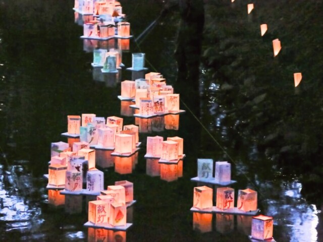 今年も「松戸宿坂川献灯まつり」開催へ　灯籠流し、飲食屋台など