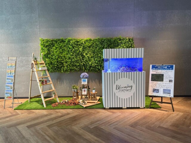 大洗水族館でネモフィラ水槽展示　国営ひたち海浜公園とのコラボ企画