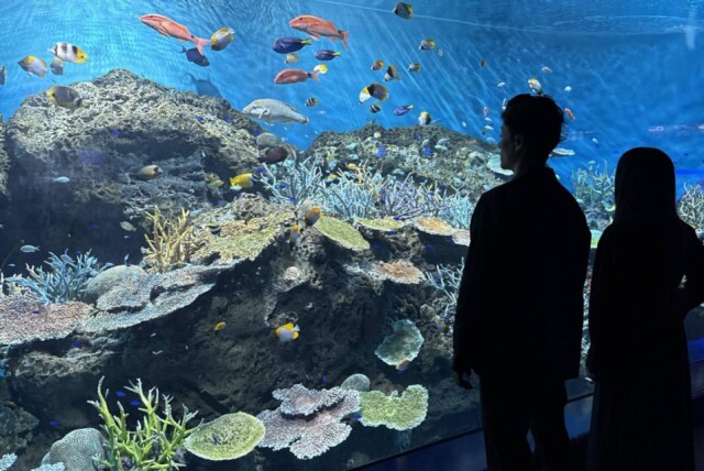 大洗水族館がGW期間に営業時間延長　「超サメ展」会期延長も