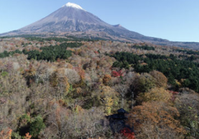 富士山「まなびの森」、環境省「自然共生サイト」に認定　ボランティアが貢献