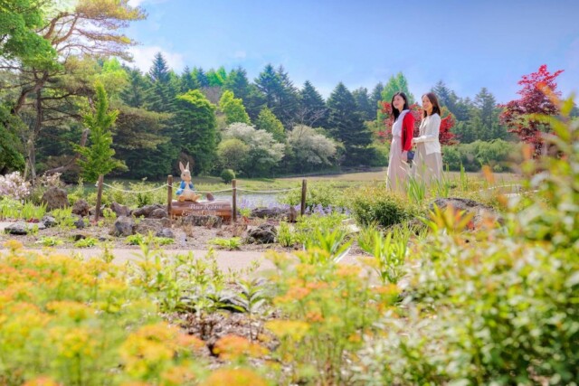 富士本栖湖リゾートで「ピーターラビット」英国式庭園の営業始まる