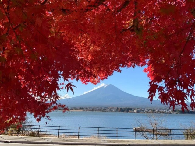 「富士山マラソン」今年も開催　フルマラソン、 河口湖1周コースも