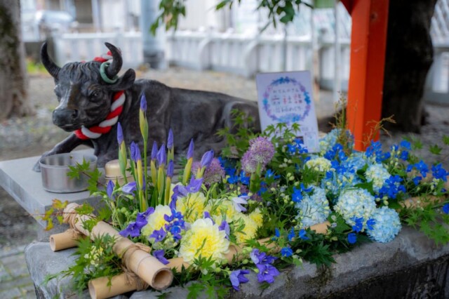 富士市・吉原本町通りで「おてんのさん六社詣～花手水めぐり」