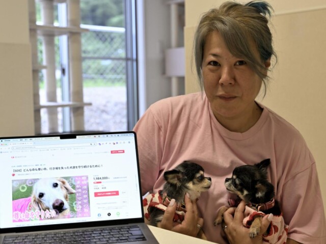 長崎で活動の動物愛護団体、ペットバブル崩壊による保護犬増で支援呼びかけ