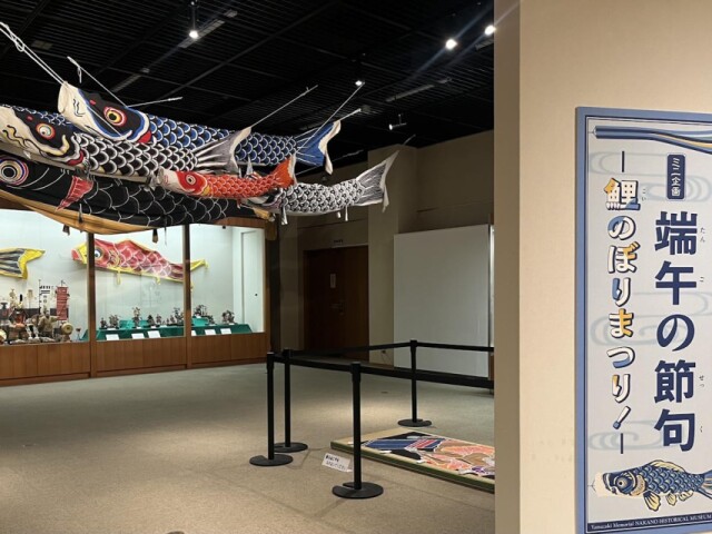 中野れきみんで「端午の節句」展　大こいのぼりや武者絵のぼり、武者人形も