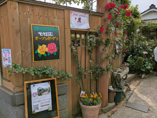 習志野・谷津で「ローズフェスタ谷津」　オープンガーデンを巡りバラ鑑賞