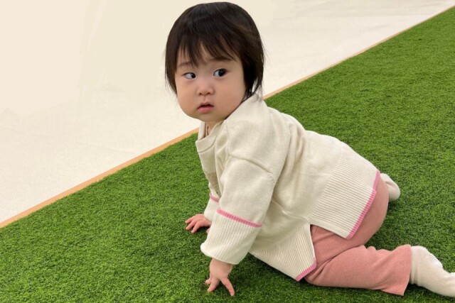 近江八幡で赤ちゃんハイハイレース　「短いハイハイ期の思い出づくりに」