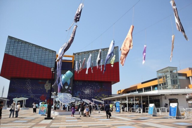 海遊館にジンベエザメなどの「オリジナルのぼり」　30体の生物が空泳ぐ