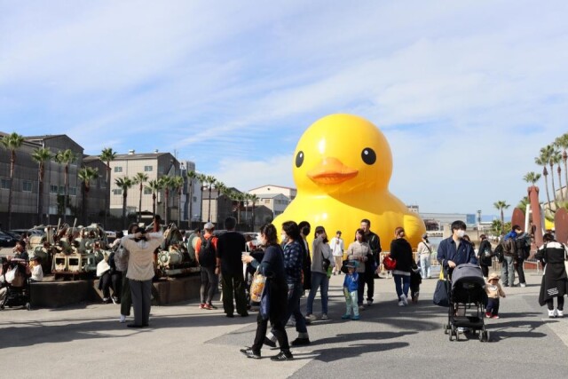 北加賀屋に巨大アヒルアート作品「ラバー・ダック」　初の連日展示、8日間