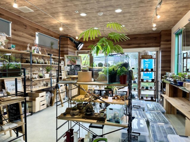 吉野ヶ里にコケテラリウム店「苔人」　作品・材料販売、ワークショップも