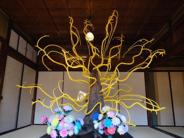 橦木館で假屋崎省吾個展　花と建築の融合の美を表現、建築100周年を記念して