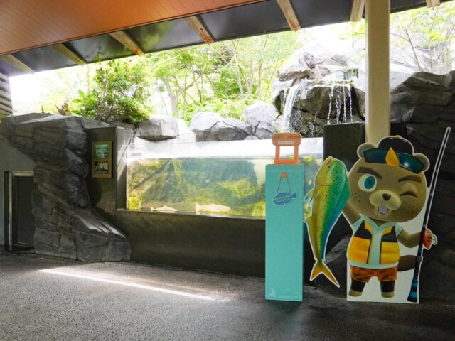 仙台うみの杜水族館で「あつ森」コラボ企画　「生きものさがし」や「実食」も