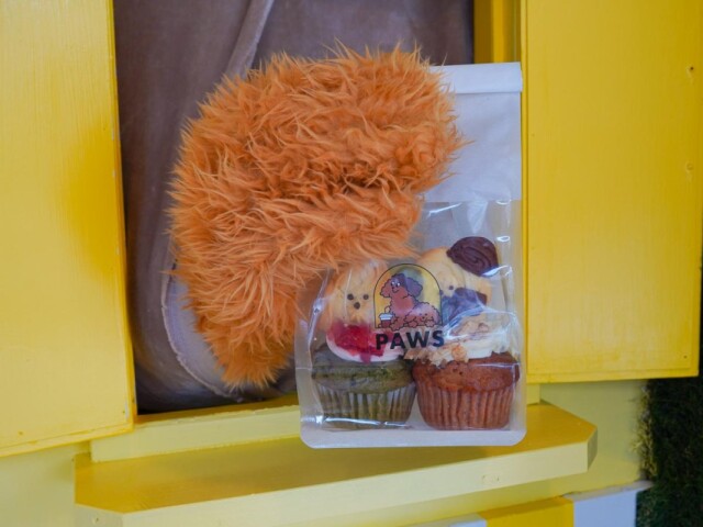 仙台にスイーツ・ドリンクのテイクアウト店　もふもふの「犬の手」で商品渡す