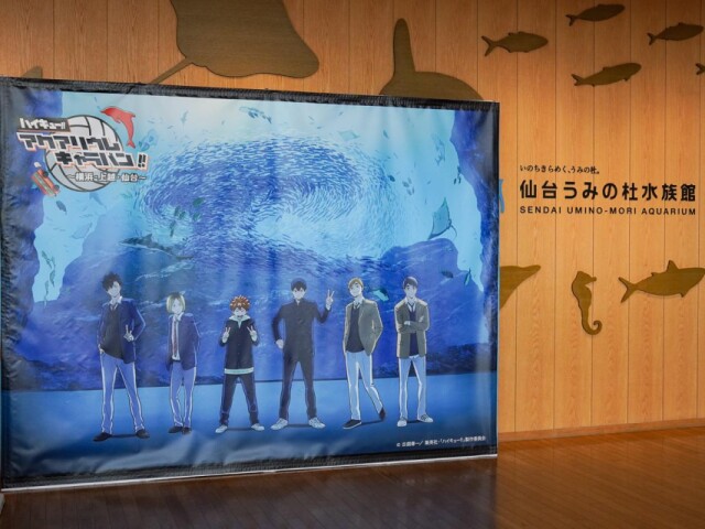 仙台うみの杜水族館で「ハイキュー!!」コラボ企画　等身大パネルやアナウンス