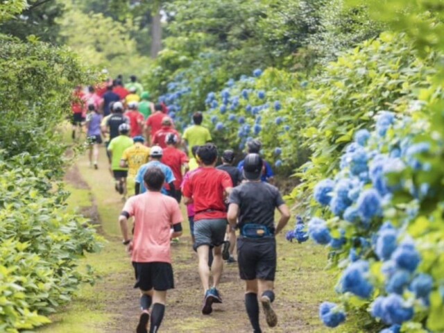 「伊豆稲取キンメマラソン」今年も開催へ　激坂求め全国からエントリー