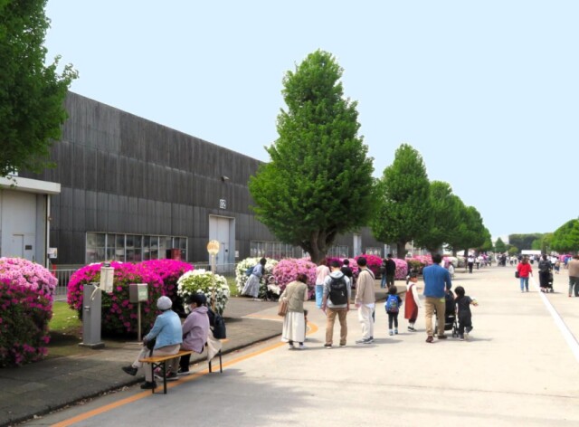 荏原製作所藤沢事業所で春の交流イベント　敷地内のツツジ公開、地震体験も