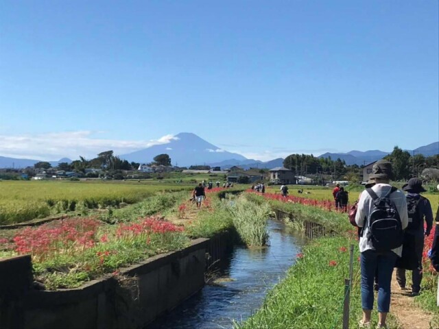 藤沢を食べ歩く春の地元ツアー開催へ　地元学生が選んだ食や風景など体験