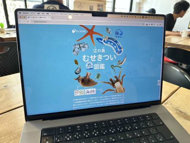 「江の島むせきつい海岸どうぶつ図鑑」　えのすいがPDFで無料公開