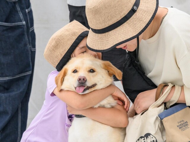 辻堂海浜公園で保護犬・保護猫の譲渡イベント　6000人集まる