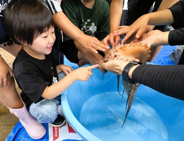 周南で「いか・たこ祭り」　須佐のイカと周南たこをPR、お笑い芸人いかちゃん登場