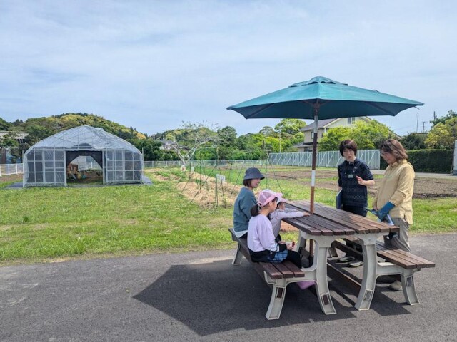 いすみ「はじめの一歩農園」で畑体験イベント　綿花育ててクリスマス飾りに