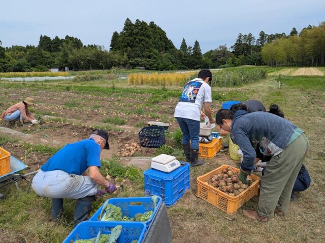 いすみで学校給食用野菜をシェア　SNSでつながり、ロスを削減