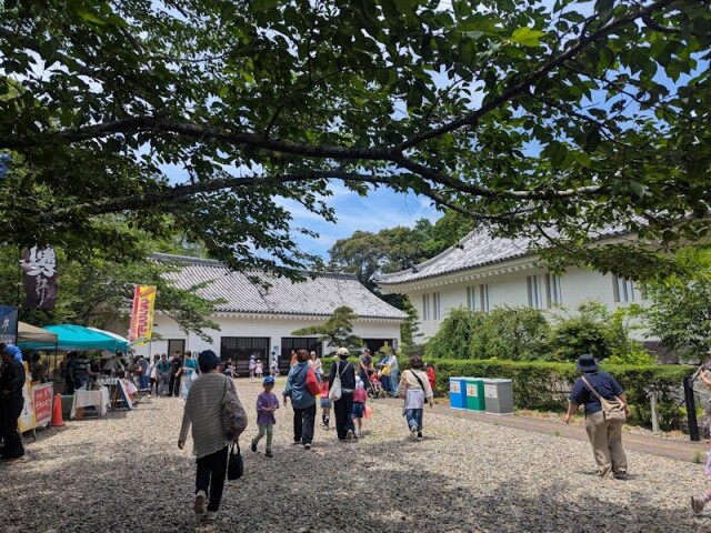 大多喜城で「大多喜ッズ」　地域を知り仕事に触れるきっかけに