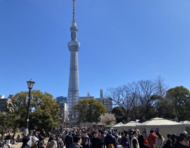 隅田公園で「春の味わいフェス」　料理と酒で「春そよ」締めくくり