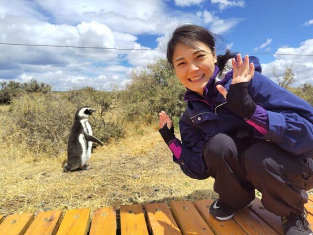 すみだ水族館で「世界ペンギンの日」イベント初開催　撮影ワークショップも