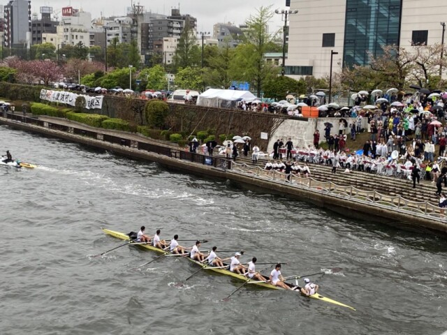 隅田川で「早慶レガッタ」　「対校エイト」で早稲田大学が勝利