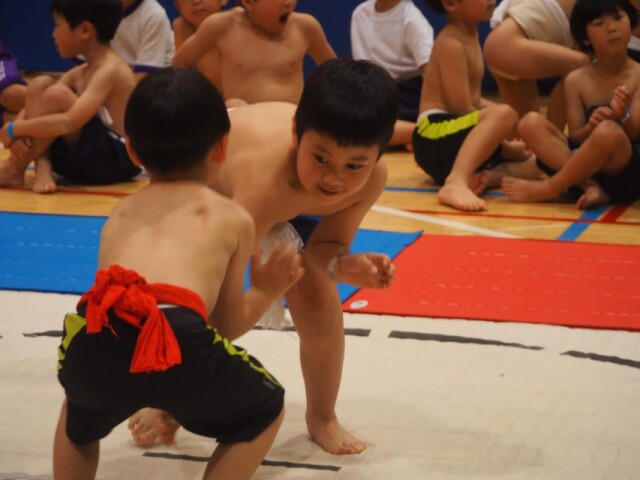 墨田・ひがしんアリーナで「わんぱく相撲」　子ども力士が真剣勝負
