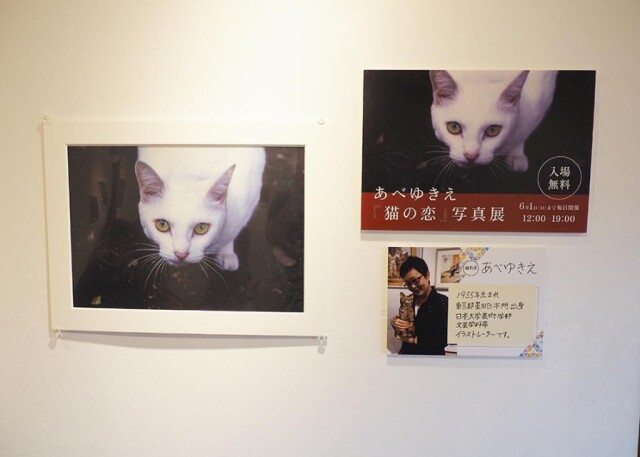 八広の下町画廊で写真展「猫の恋」　東京下町の日常と猫たちの記録