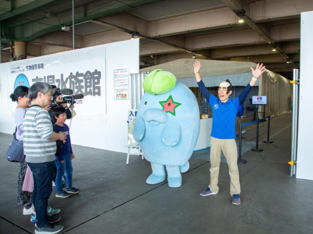 ペンギンもカワウソも「お引越し」　高松市中央卸売市場に「市場水族館」