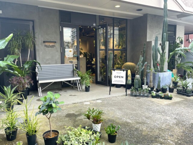福岡・赤坂にカフェ「GO PLANT FUKUOKA」　観葉植物ショップ併設