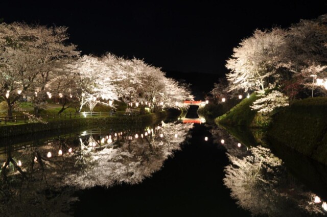 鳥取・鹿野城跡公園で「鹿野桜まつり」　堀に映る夜桜、行列も