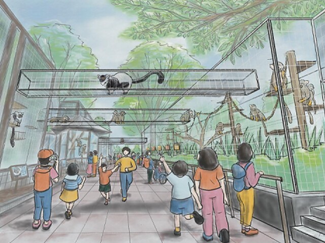 市川動植物園で、サルの生活環境を改善する「おさるのへや」の支援呼びかけ