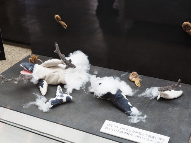 和歌山県立自然博物館にワカヤマソウリュウの死骸ジオラマ　ぬいぐるみで再現