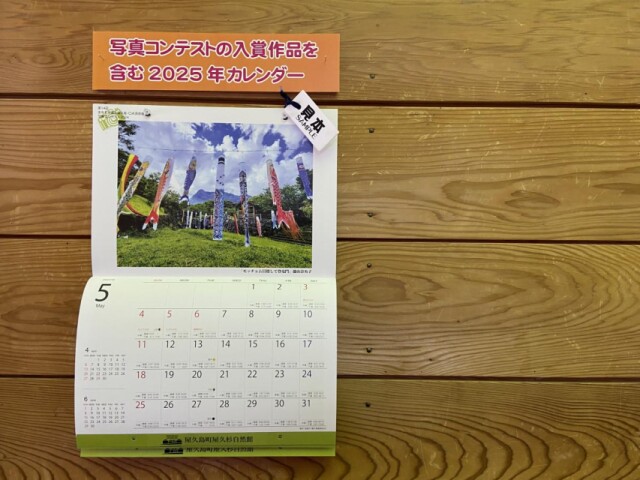 屋久杉自然館が写真コンテスト　審査員は来館客