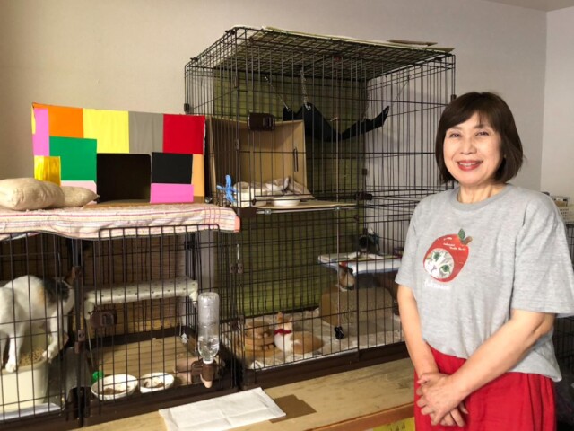 宇部で「保護猫譲渡会＆マルシェ」　猫の迎え主探し、活動の周知も
