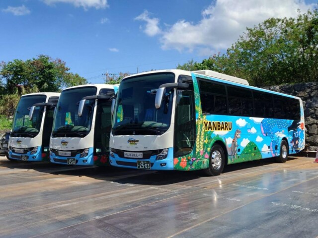 「やんばる観光バス」運行へ　沖縄北部観光に一役